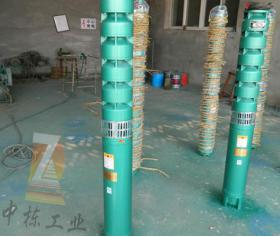 QJ系列深井潛水電泵200QJ15-26/2